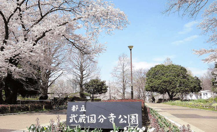 都立武蔵国分寺公園